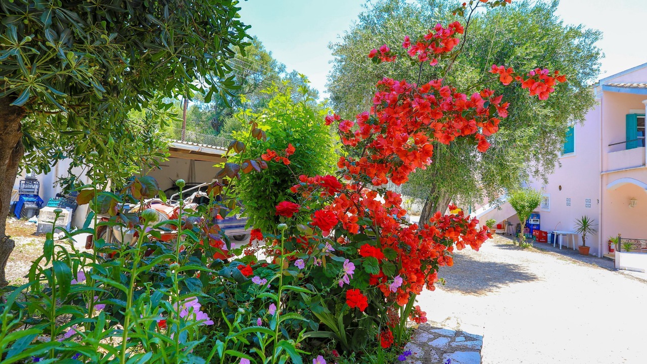 Photo of Outdoor in Agios Spyridon Corfu