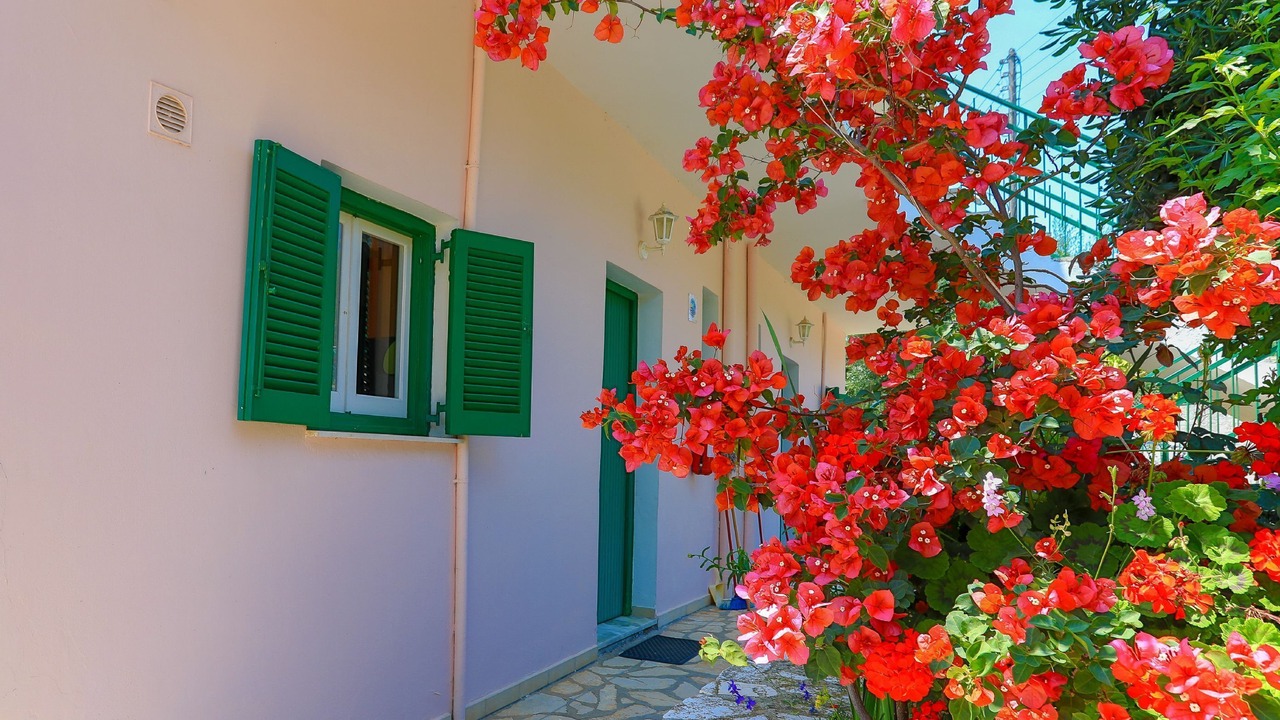 Photo of Others in Agios Spyridon Corfu