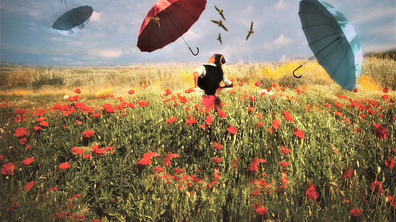 Photo of Outdoor in Koum Kapi