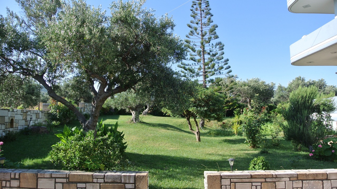 Photo of Outdoor in Korfalonas