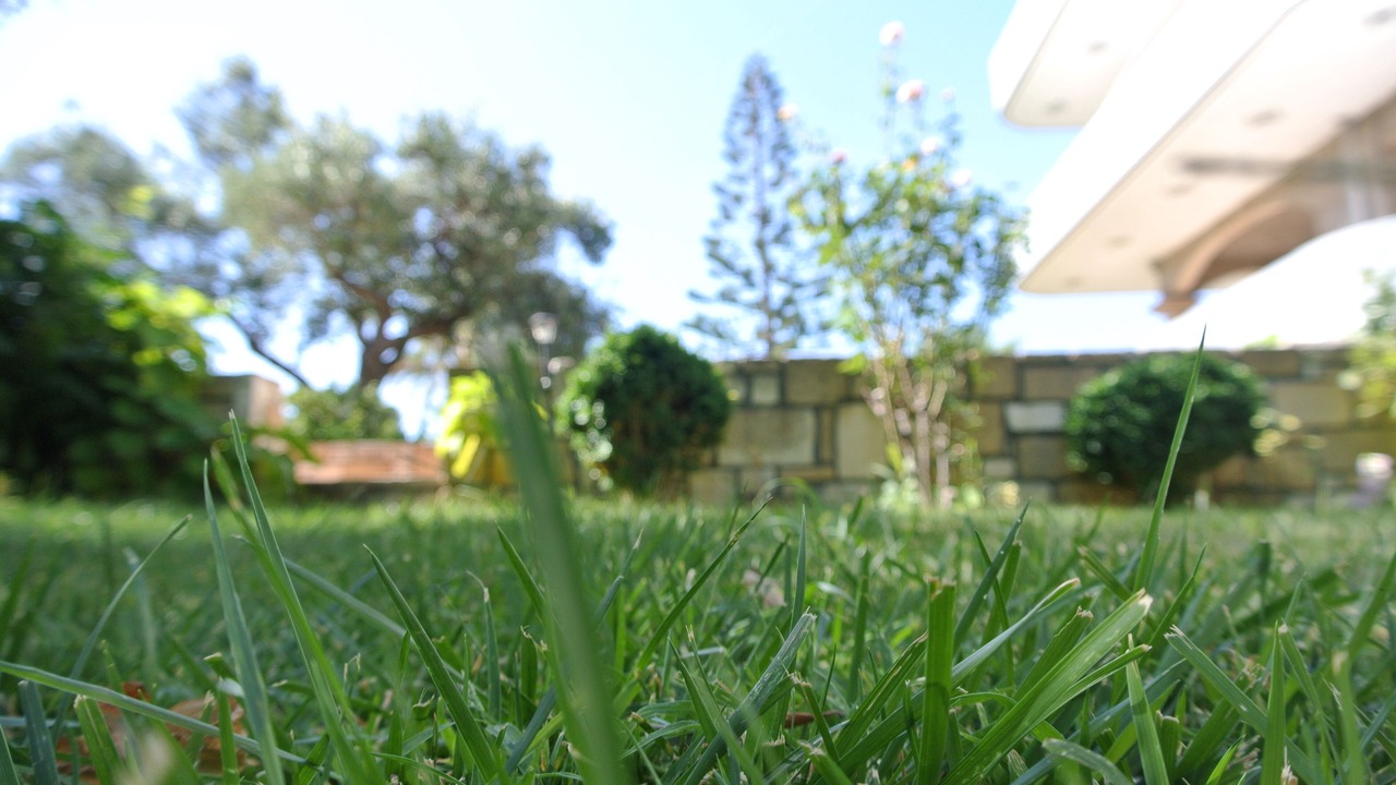 Photo of Outdoor in Korfalonas