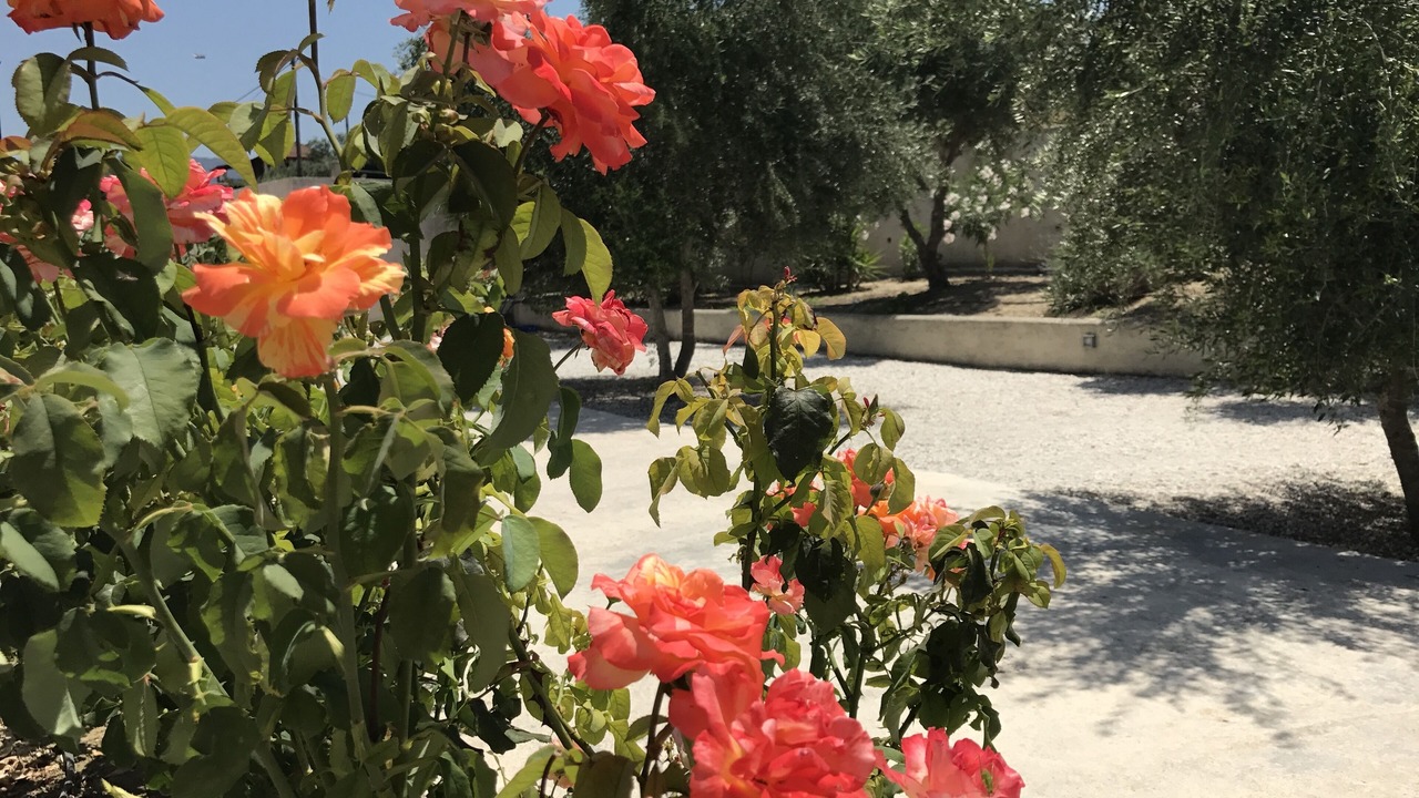 Photo of Outdoor in Kalyves