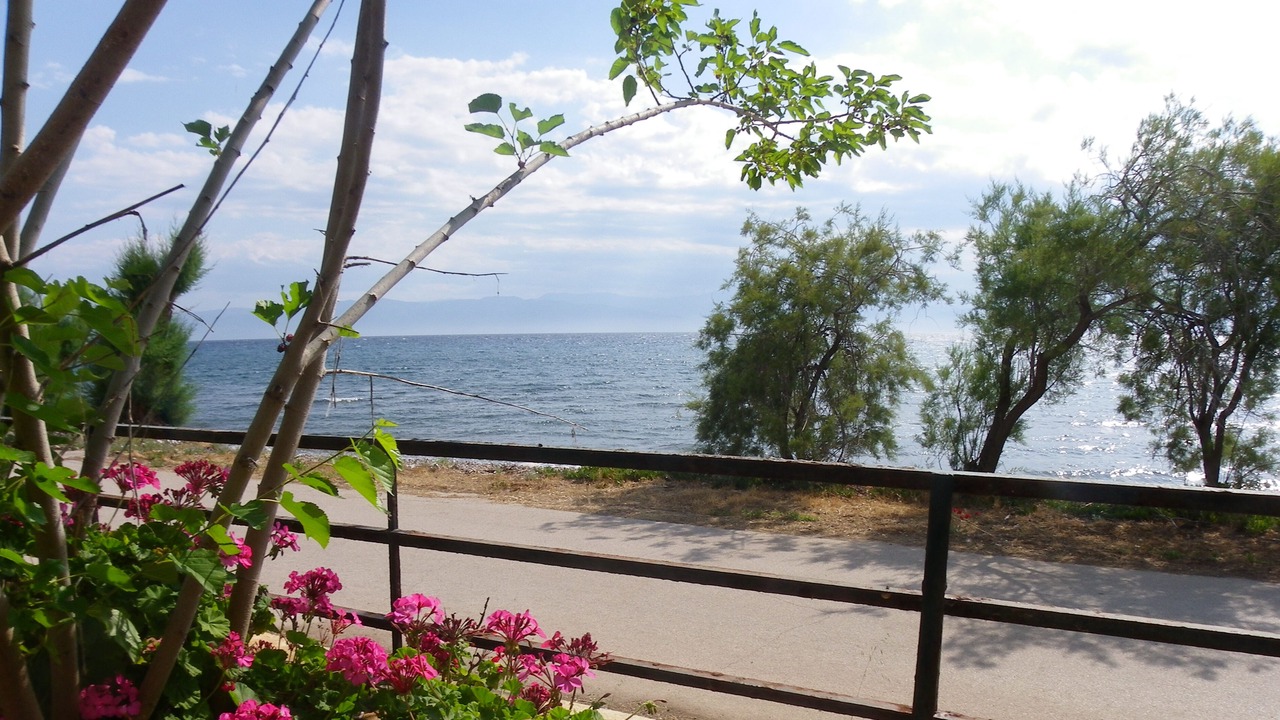 Photo of Outdoor in Iria