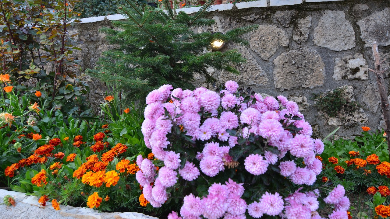 Photo of Outdoor in Synikia Mesi Trikalon
