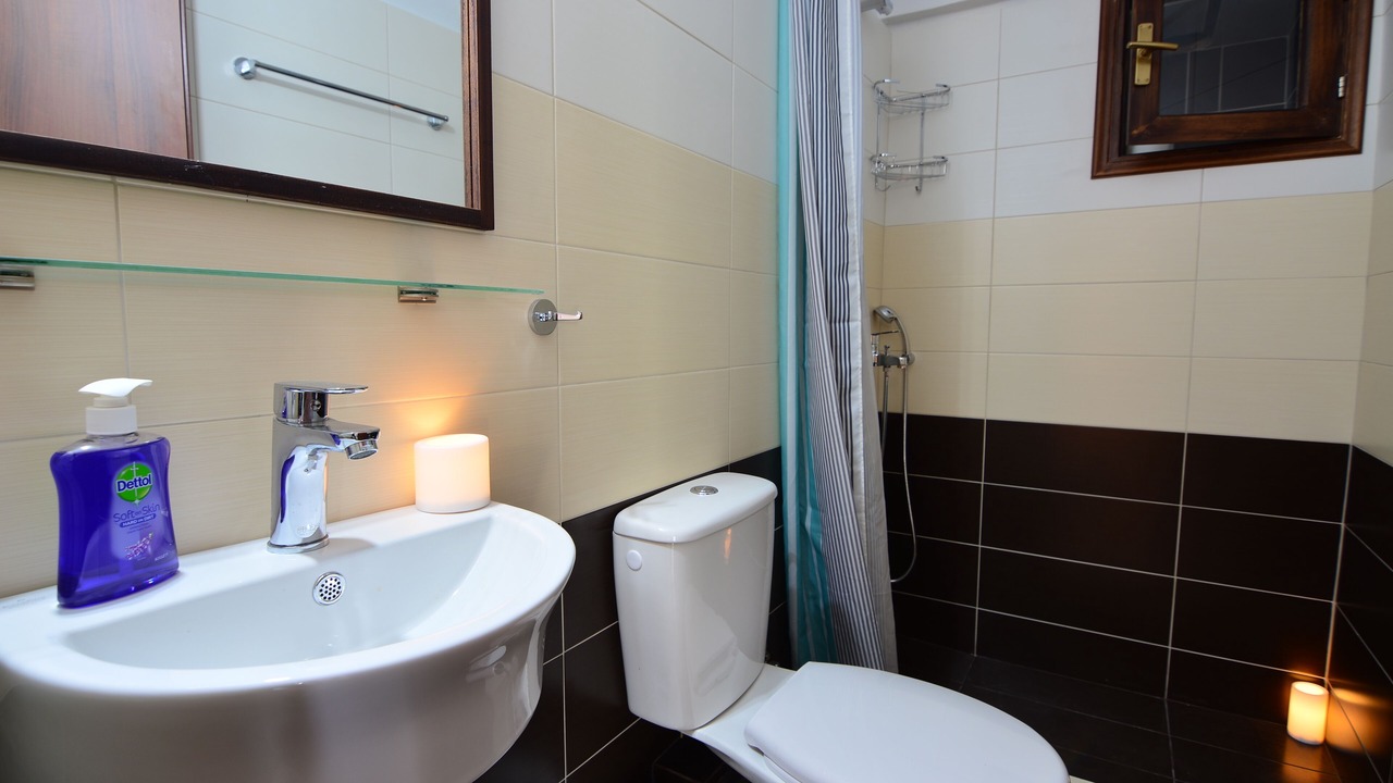 Photo of Bathroom in Synikia Mesi Trikalon