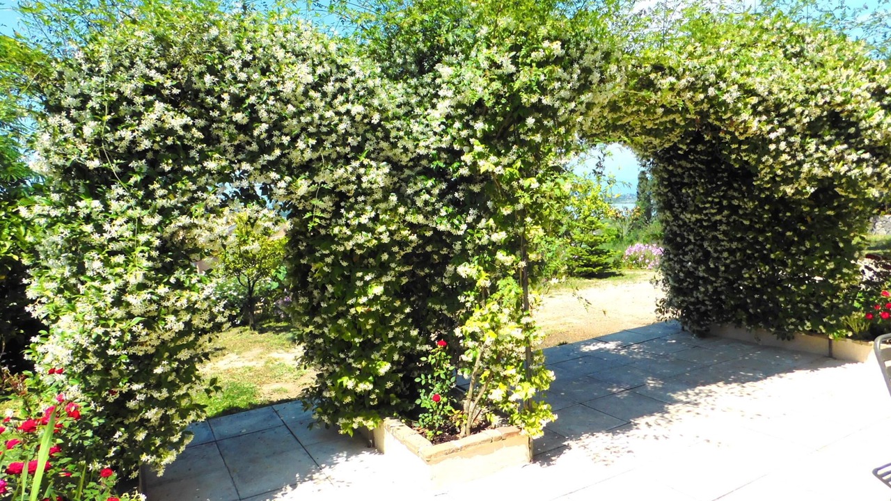 Photo of Outdoor in Perama