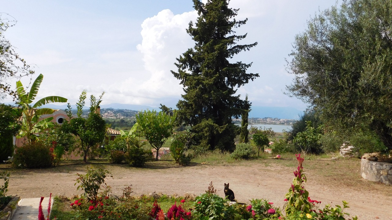 Photo of Outdoor in Perama