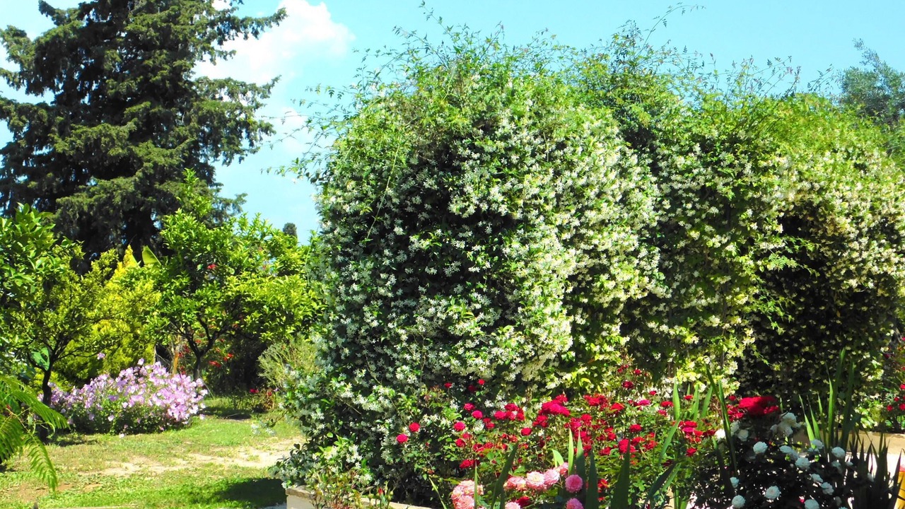 Photo of Outdoor in Perama