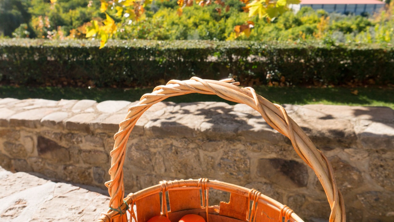 Photo of Others in Corinthia Region