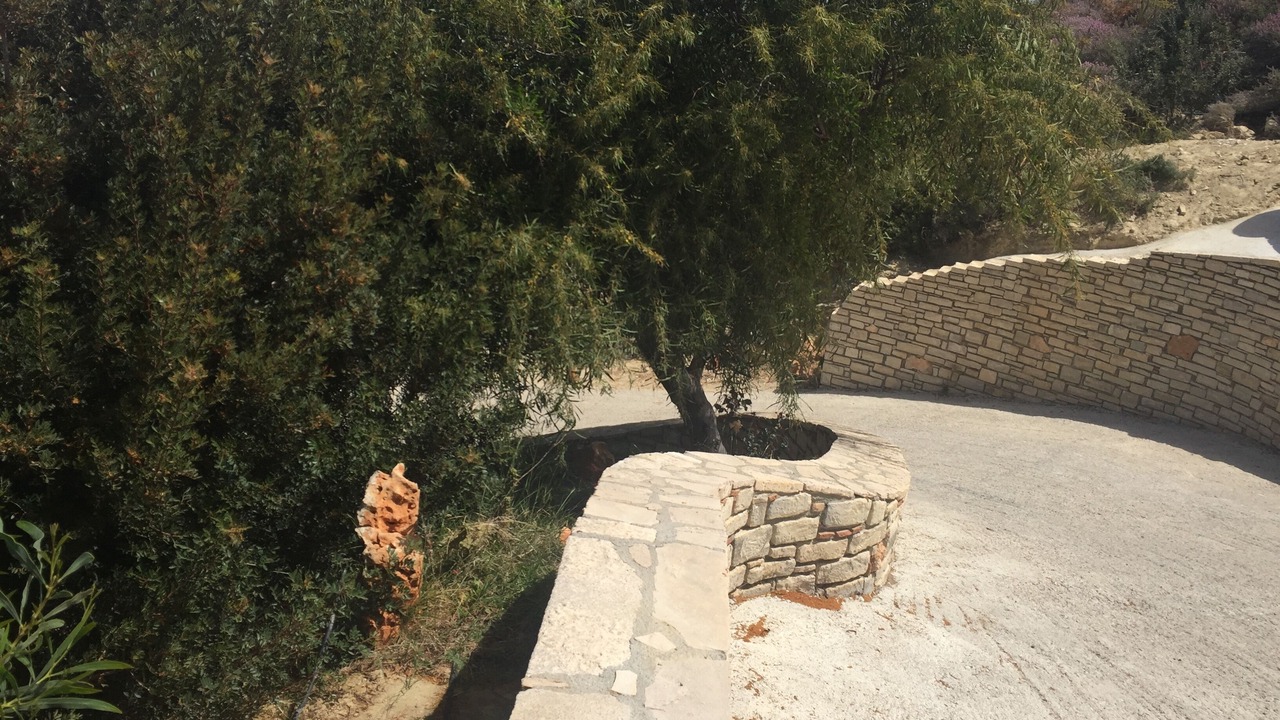 Photo of Outdoor in Pitsidia