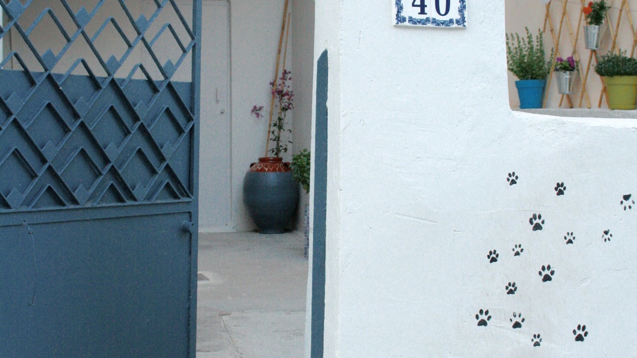 Photo of Others in Filopappou
