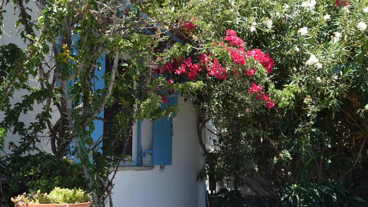 Photo of Outdoor in Agios Sostis