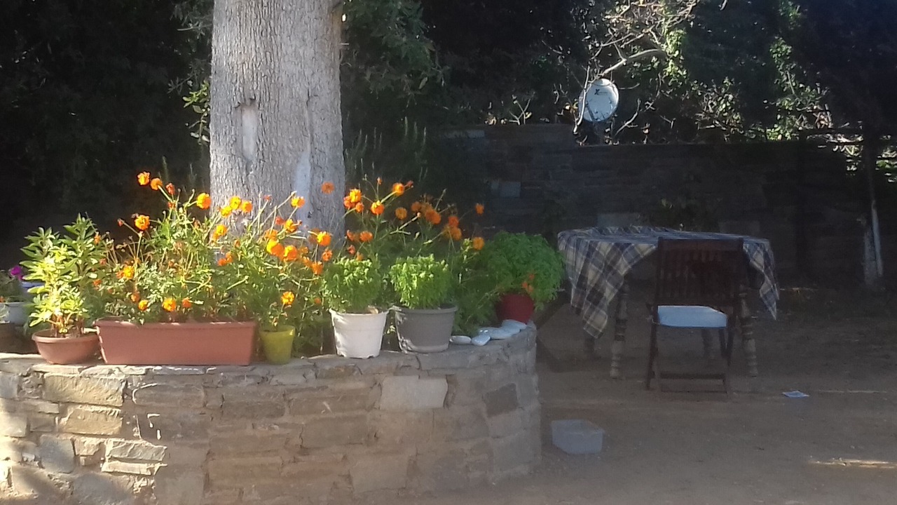 Photo of Outdoor in Lambinou