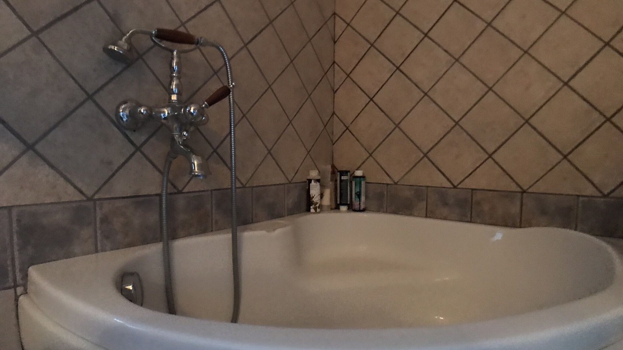 Photo of Bathroom in Steniai