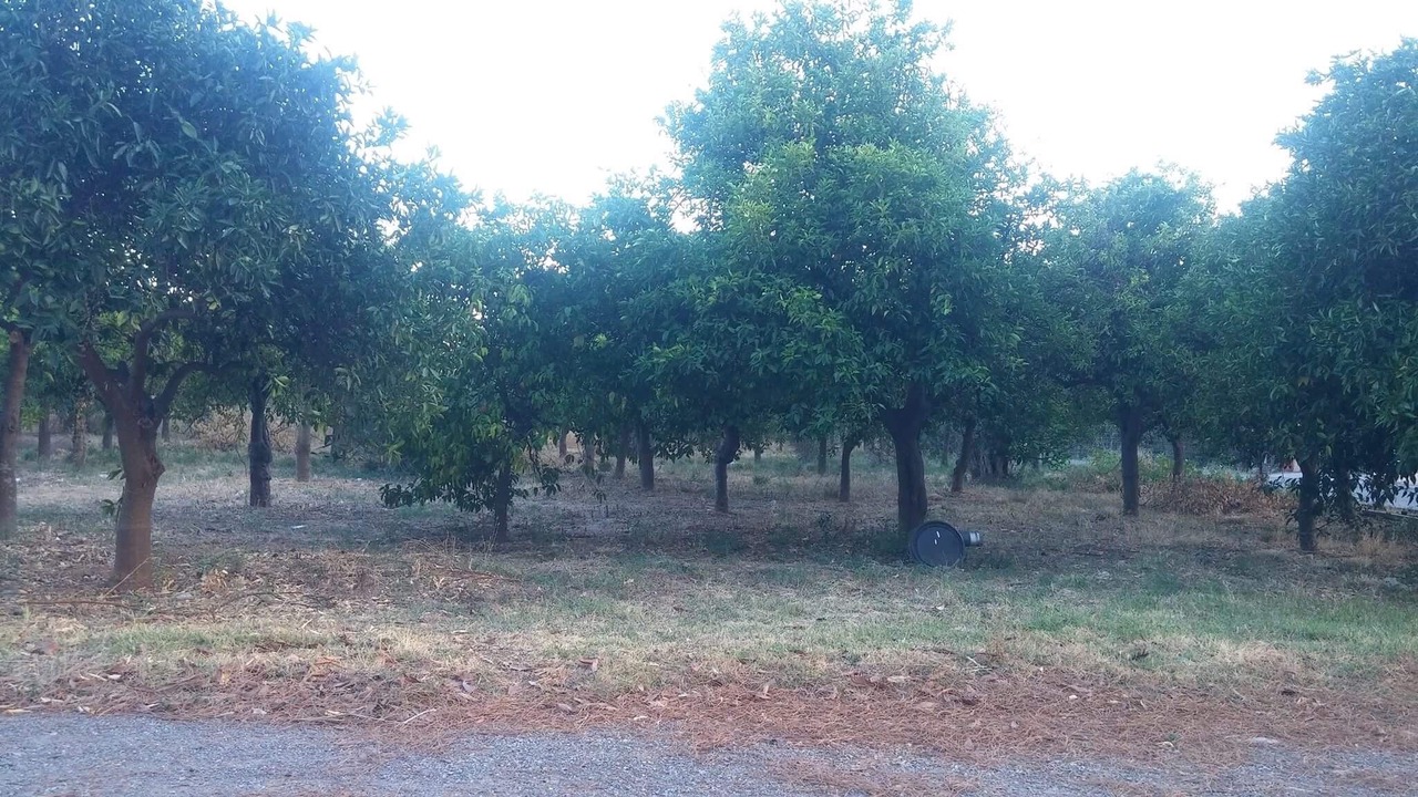 Photo of Outdoor in Sparta