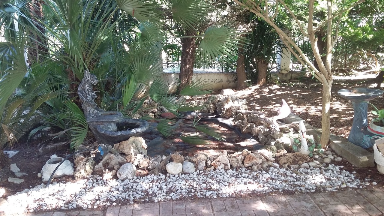 Photo of Outdoor in Raches