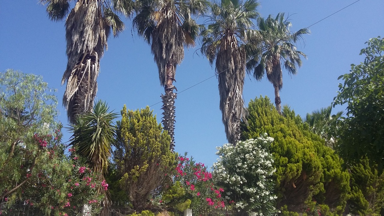 Photo of Outdoor in Raches