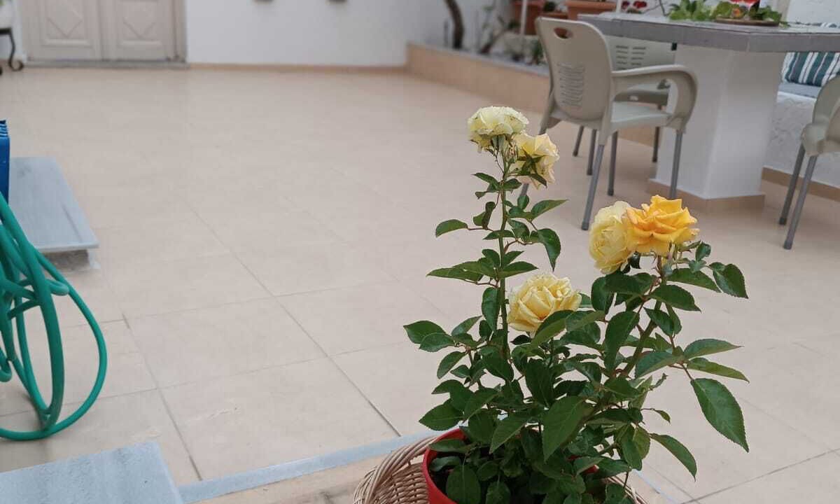 Photo of Patio Balcony in Pothia
