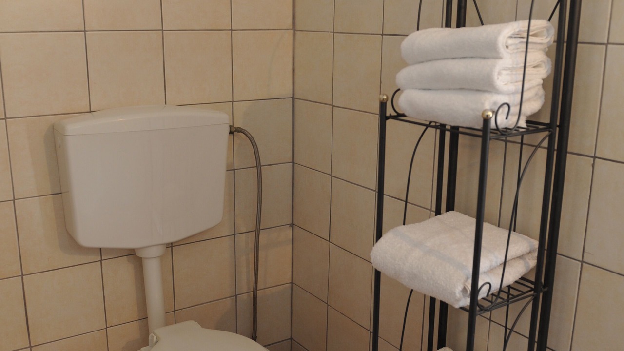 Photo of Bathroom in Pothia