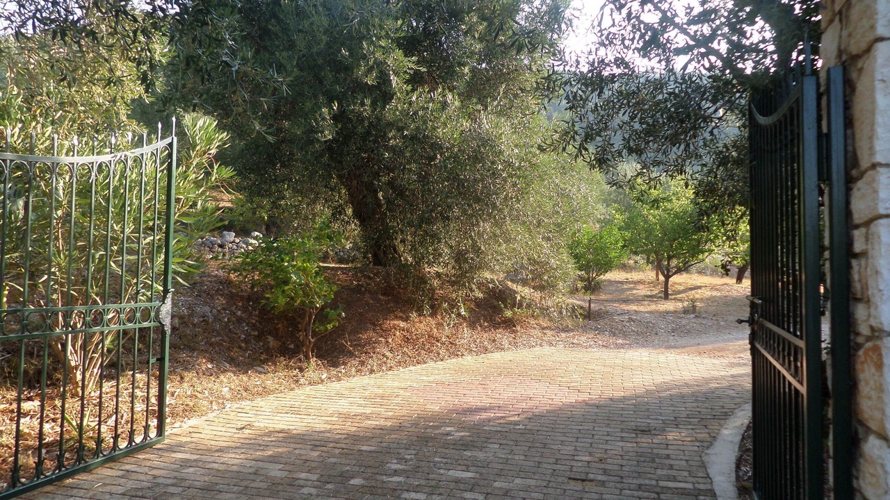 Photo of Others in Barbati