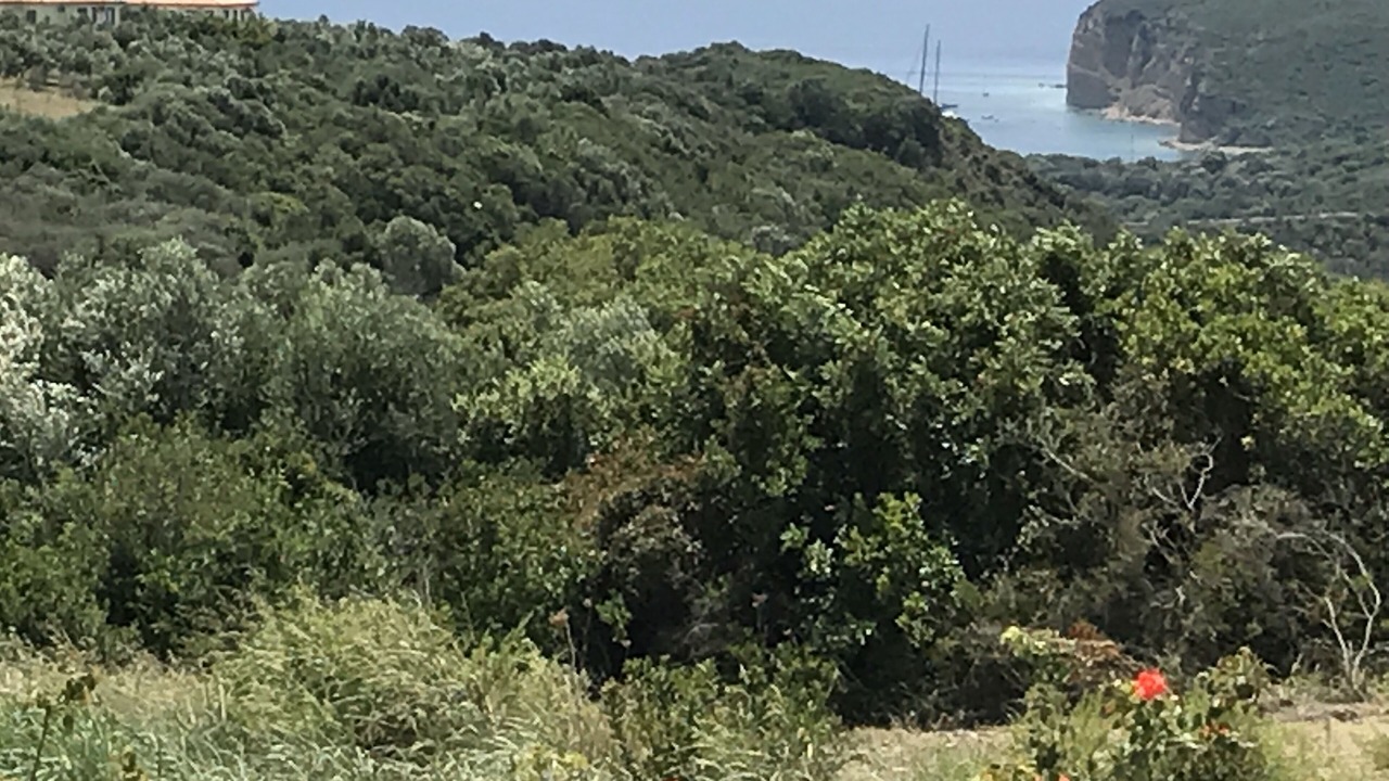 Photo of Outdoor in Pylos-Nestoras