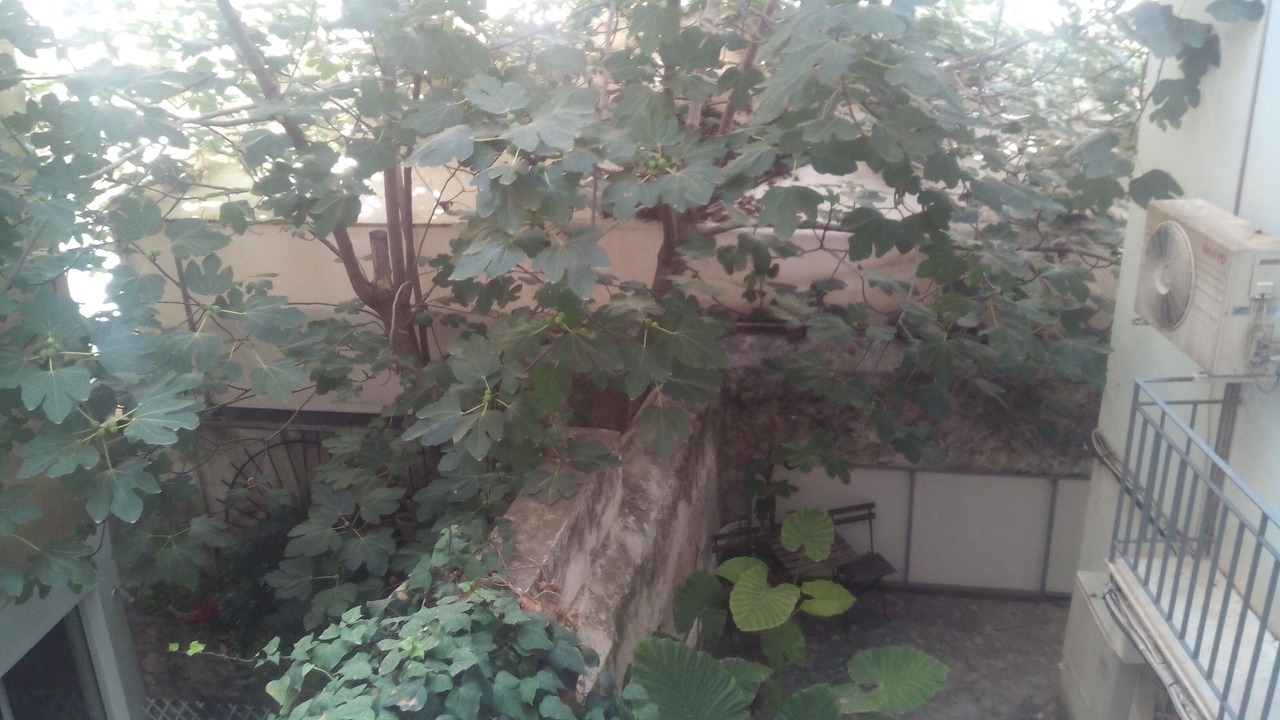 Photo of Others in Neapoli