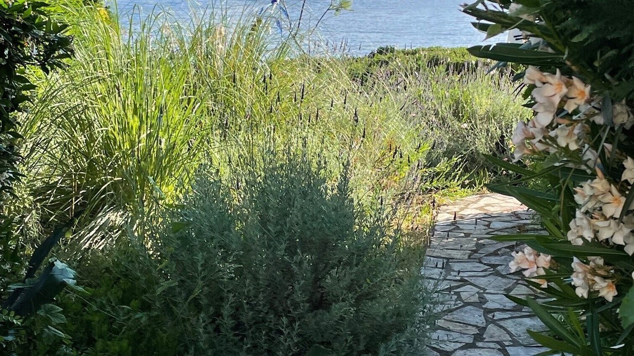 Photo of Outdoor in Petaleia