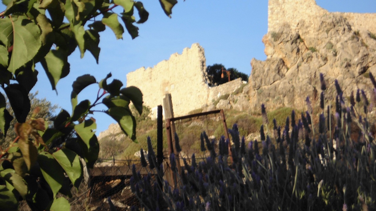 Photo of Others in Archangelos