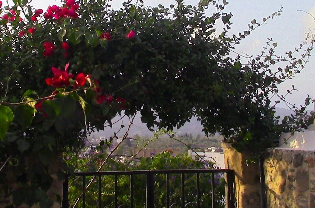 Photo of Others in Archangelos
