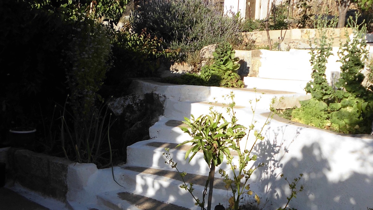 Photo of Outdoor in Archangelos