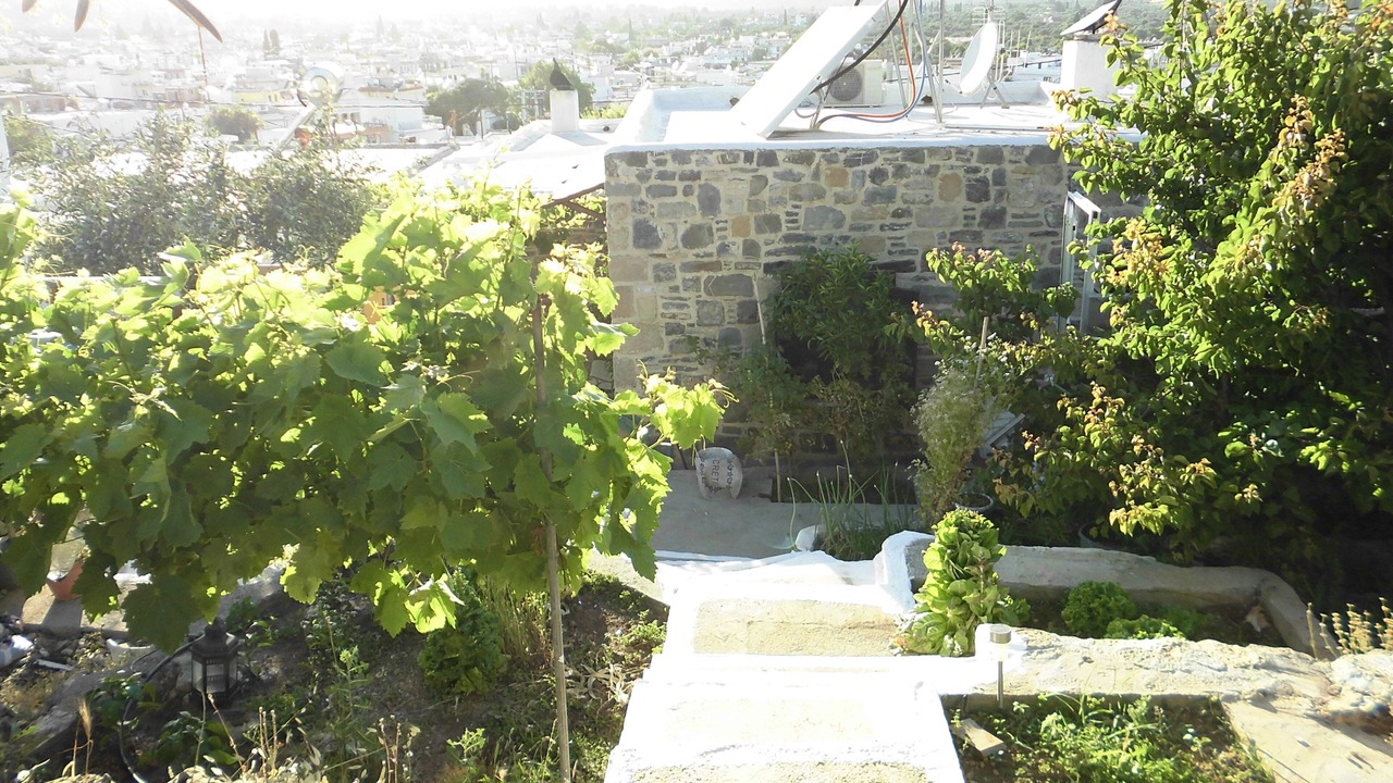 Photo of Outdoor in Archangelos