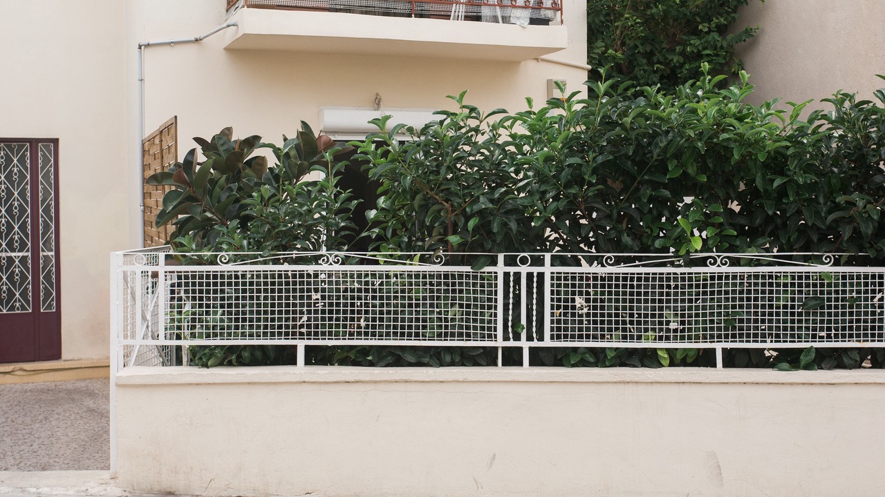 Photo of Outdoor in Palaio Faliro