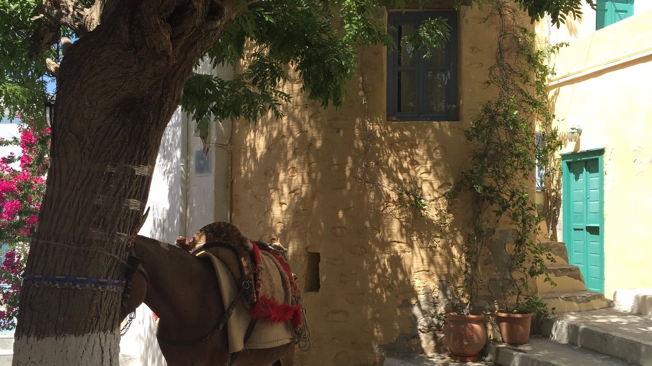 Photo of Outdoor in Ano Siros