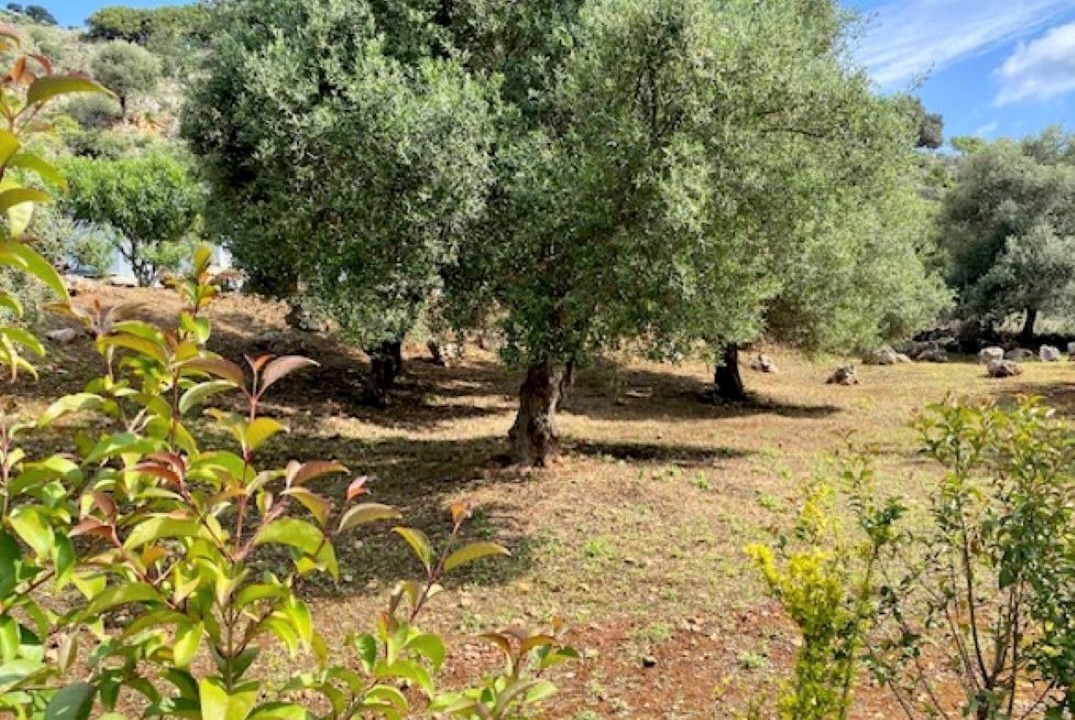 Photo of Outdoor in Kampia