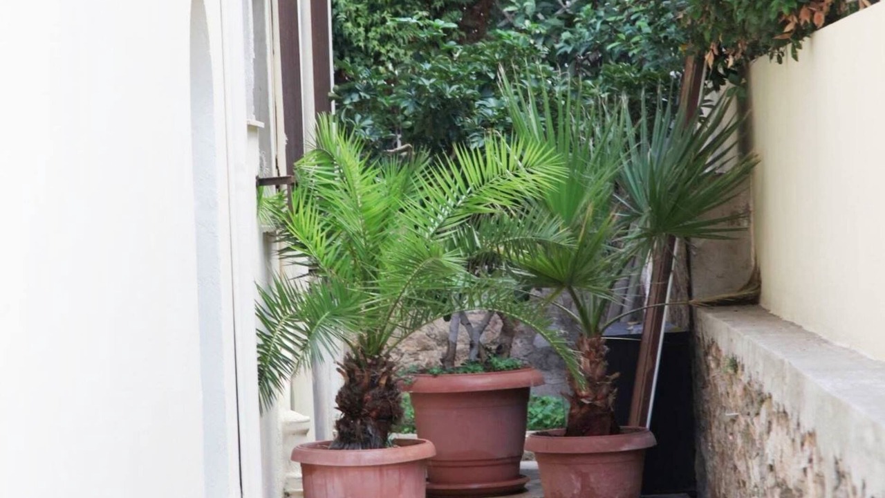 Photo of Outdoor in Palaio Faliro