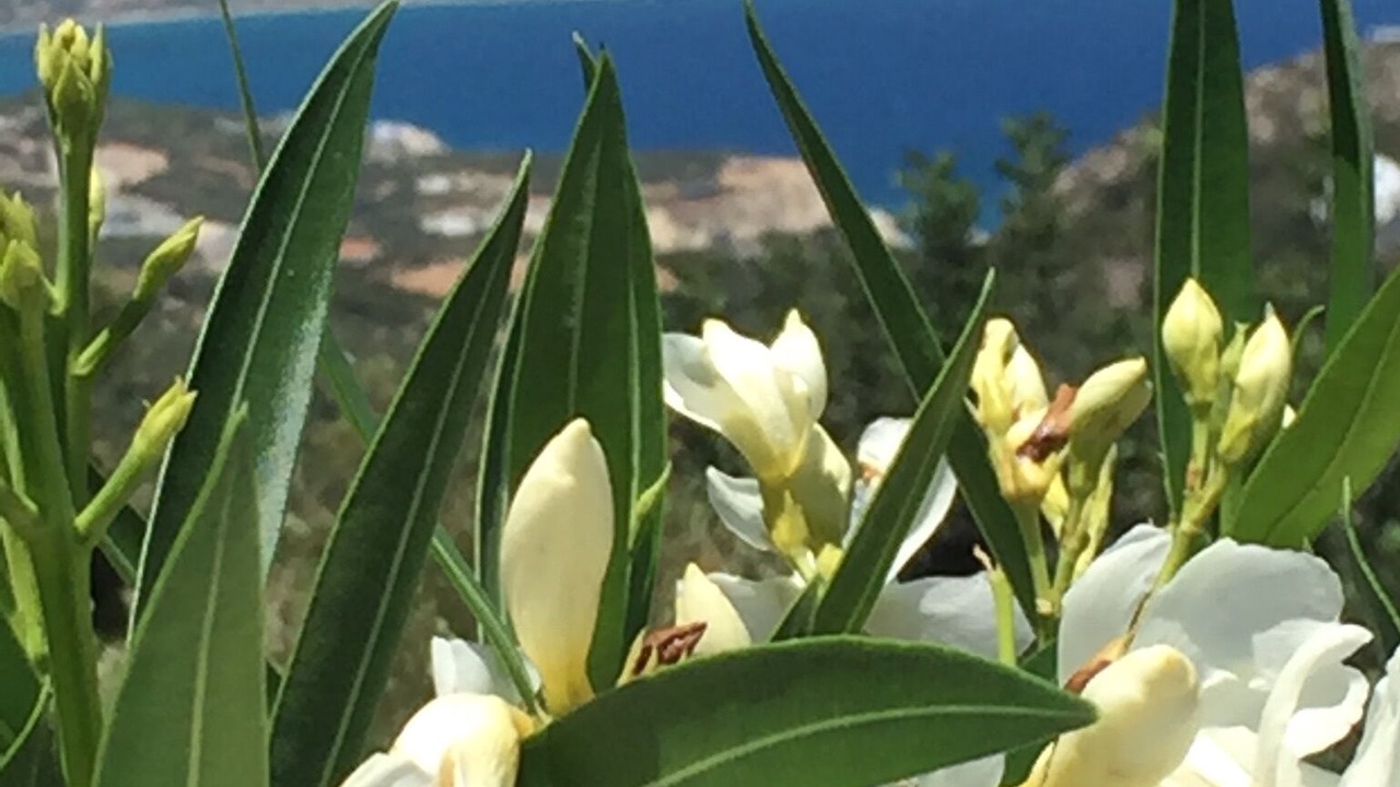 Photo of Outdoor in Kambia
