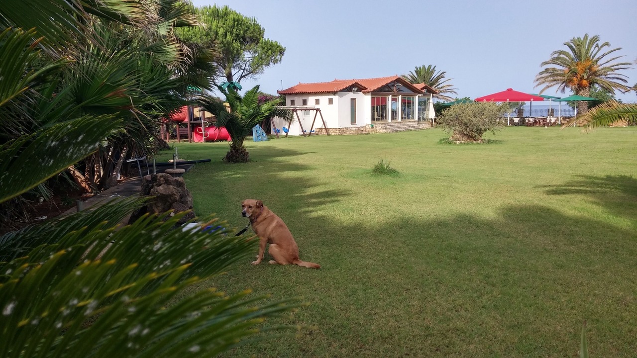 Photo of Outdoor in Kiparissia