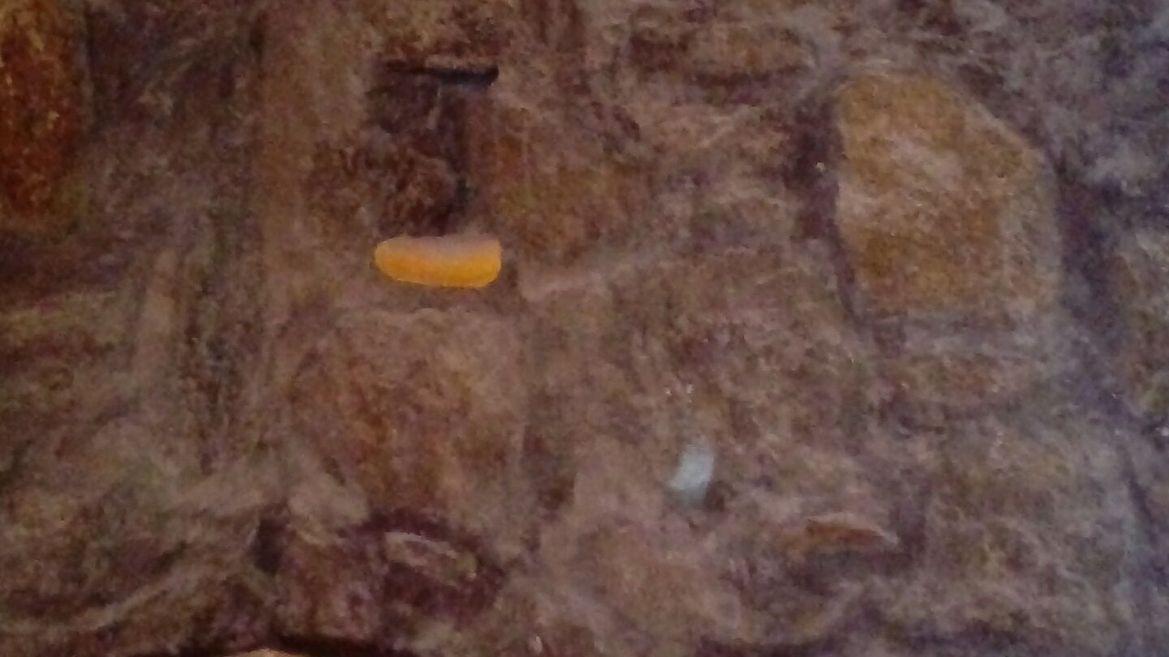 Photo of Bathroom in Paraga