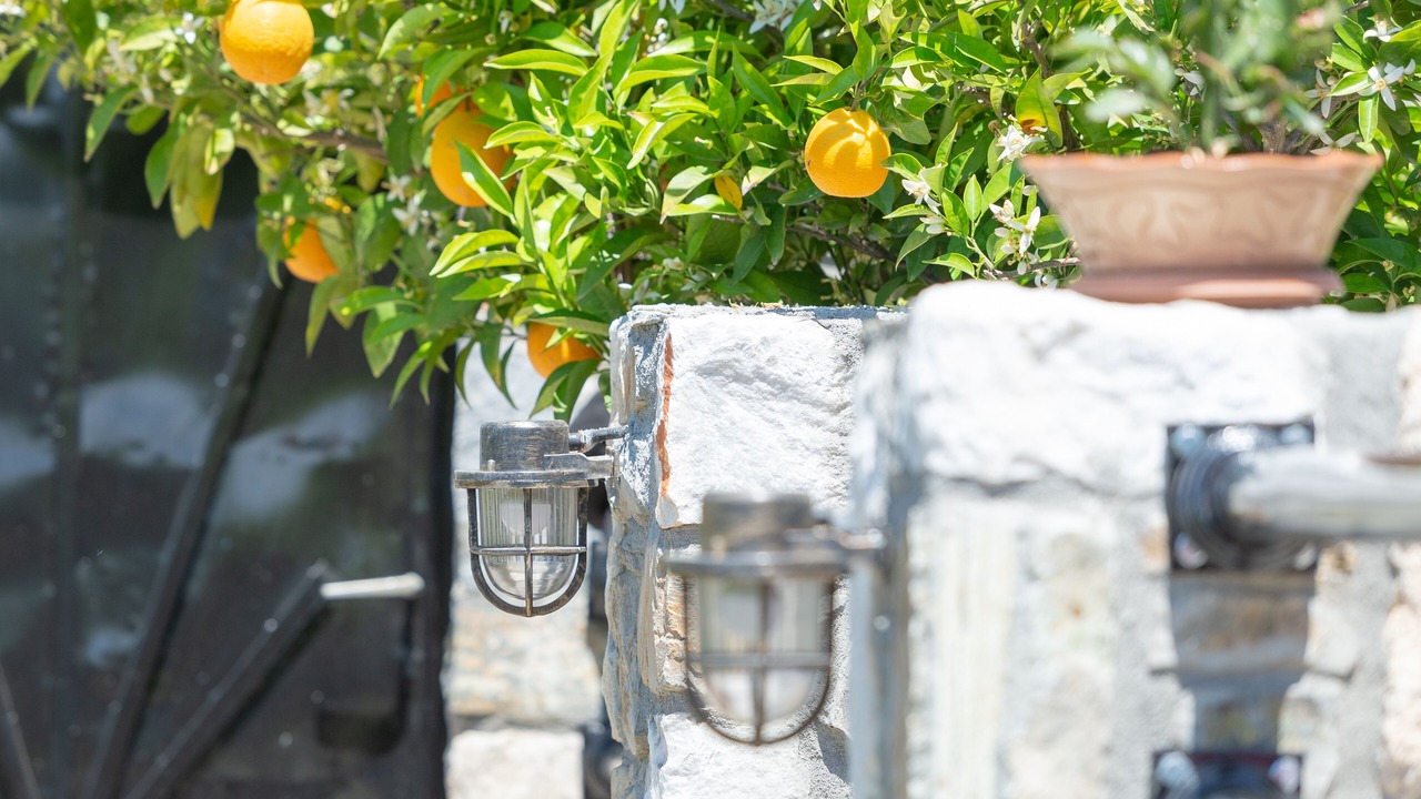 Photo of Outdoor in Agios Nikolaos