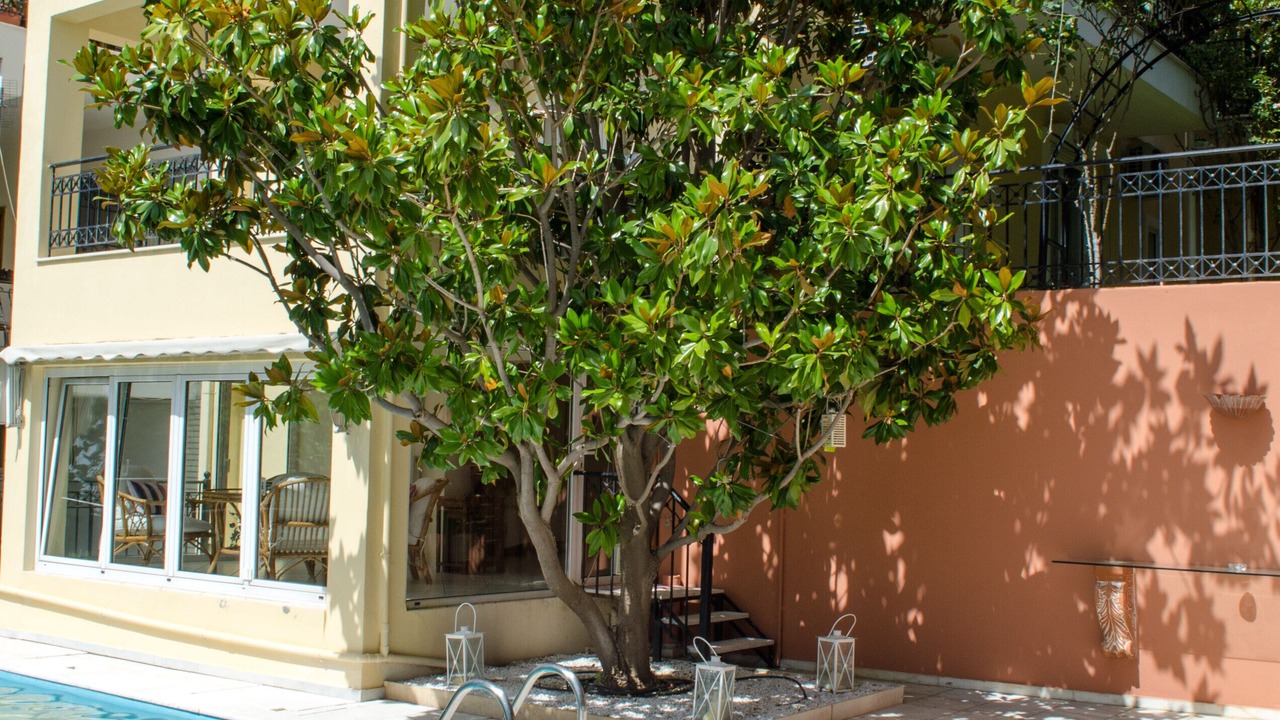 Photo of Outdoor in Penteli