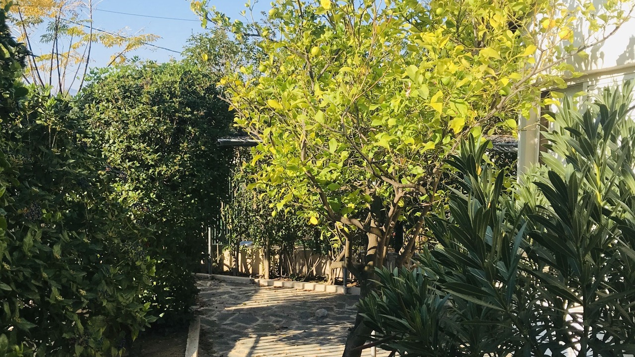 Photo of Outdoor in Loutraki