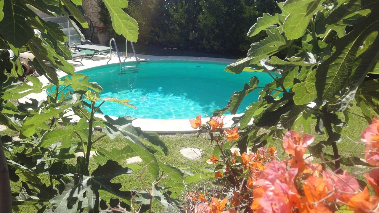 Photo of Outdoor in Atsipópoulon