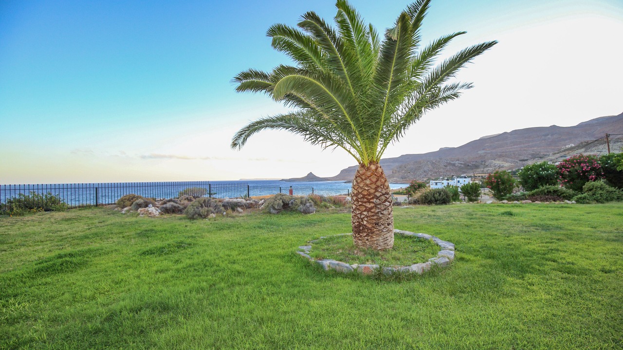Photo of Outdoor in Xerokampos