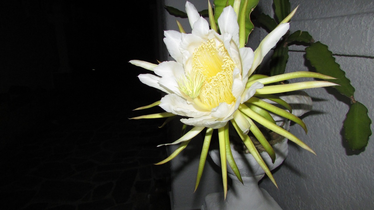 Photo of Outdoor in Faliraki