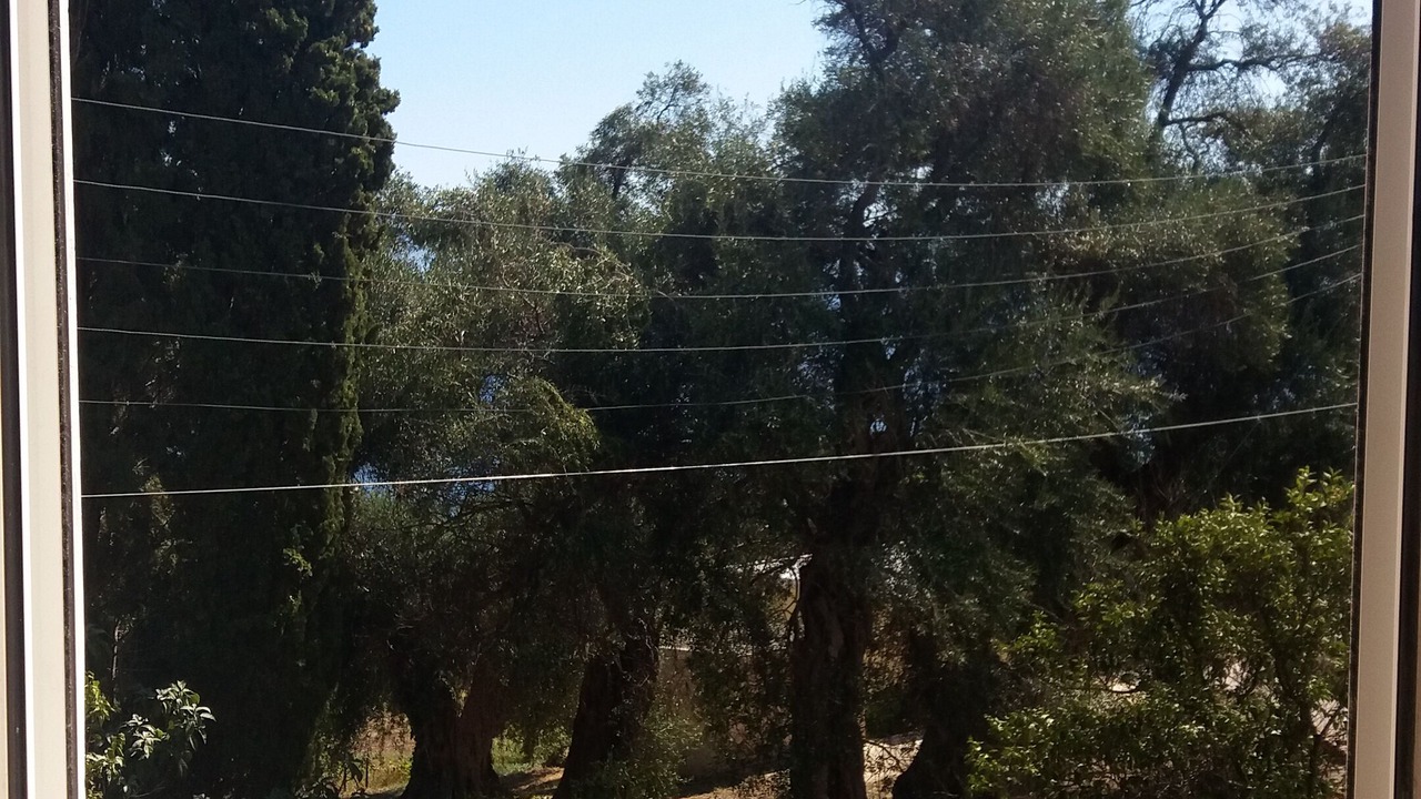 Photo of Others in Perama