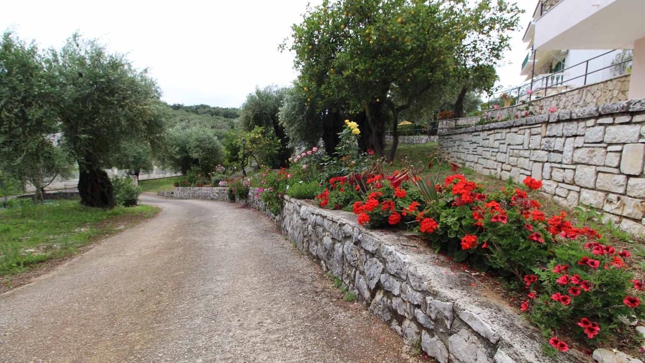 Photo of Others in Agios Spyridon Corfu