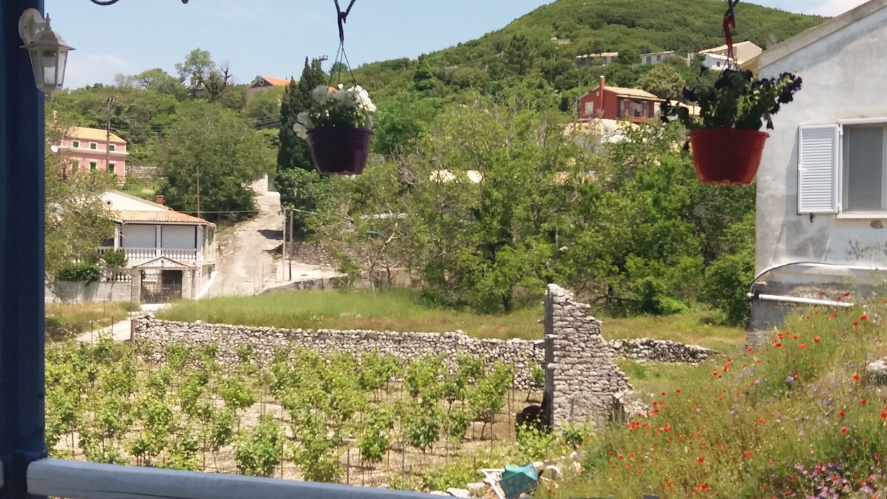 Photo of Outdoor in Petaleia