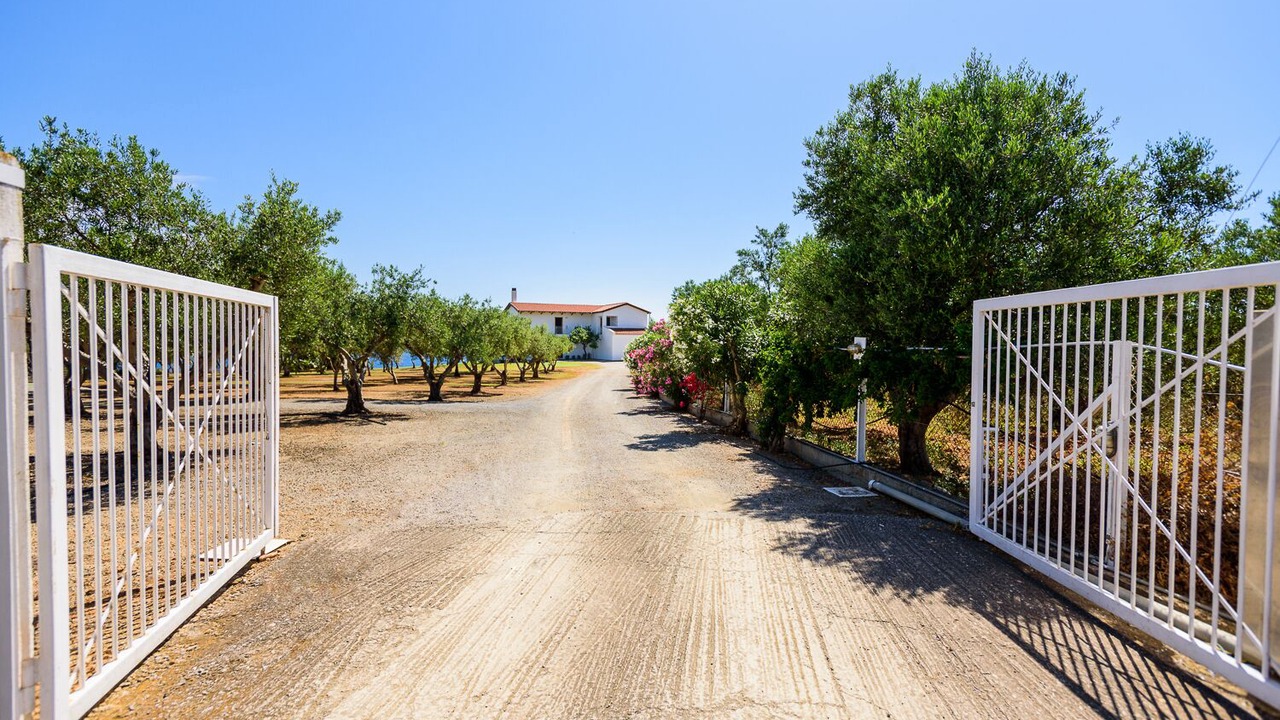 Photo of Outdoor in Elea