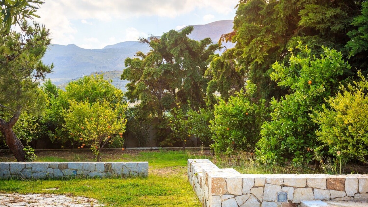 Photo of Outdoor in Xerokampos