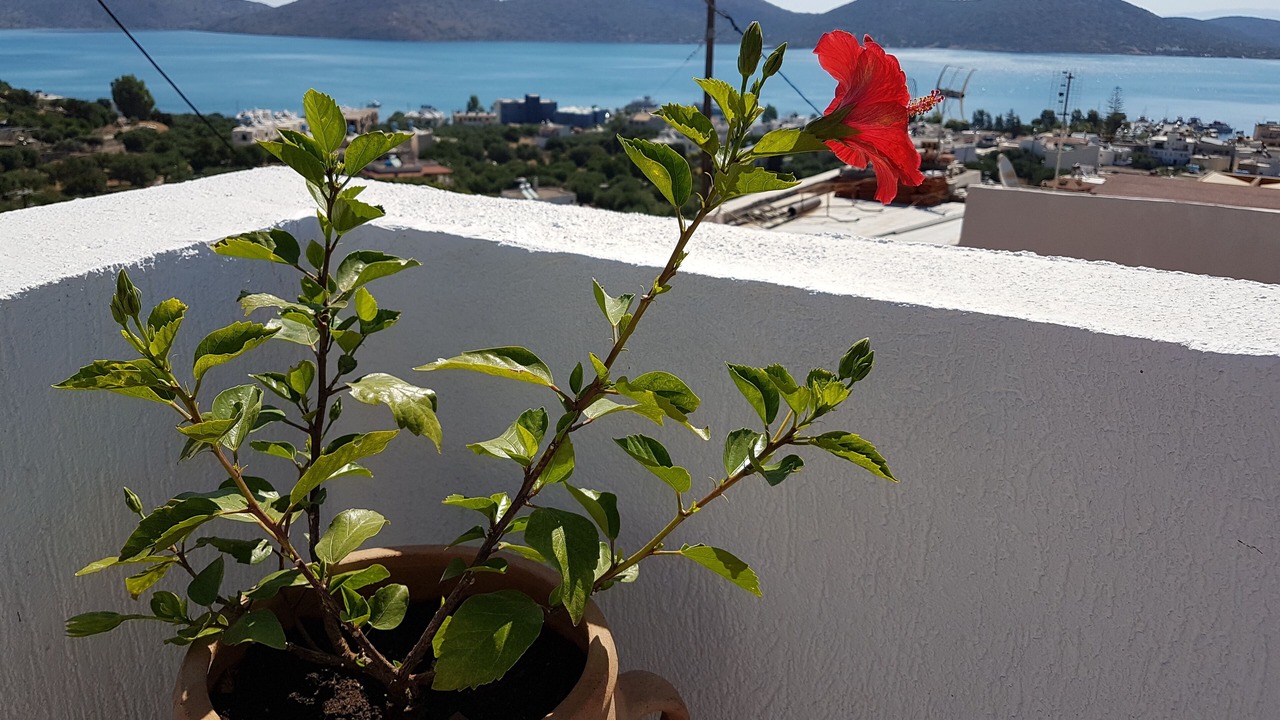 Photo of Others in Elounda